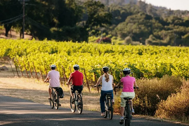 Sonoma Electric Bike Wine Tasting Tour - Image 5