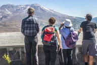 Seattle Mount Rainier National Park Day Tour thumbnail 6