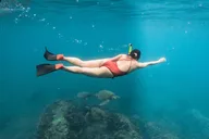Waianae Dolphin Swim and Snorkeling Safari thumbnail 1