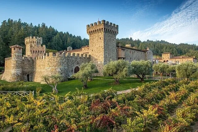 San Jose Wine Tour in Napa and Sonoma - Image 5