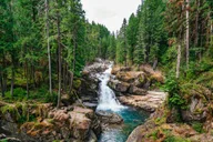 Seattle Mount Rainier National Park Tour thumbnail 2