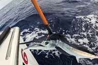 Kona Deep Sea Fishing Escapade thumbnail 6