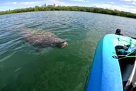 Anna Maria Pedal Kayak Eco-Tour thumbnail 2