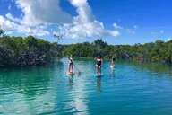 Key West Sandbar and Paddle Adventure thumbnail 6