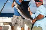 Fort Lauderdale Sportfishing Charter 4 hr thumbnail 1