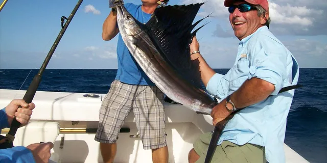 Fort Lauderdale Sportfishing Charter 4 hr - Image 1