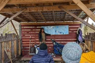 Skagway Sled Dog and Scooter Adventure thumbnail 6
