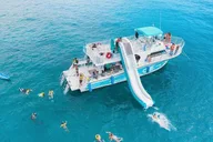 Oahu Dolphin and Snorkel Tour with Waikiki Pickup thumbnail 1