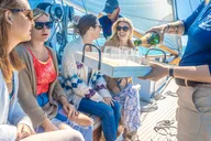 Key West Schooner Day Sail with Drinks 1.5 hr thumbnail 6
