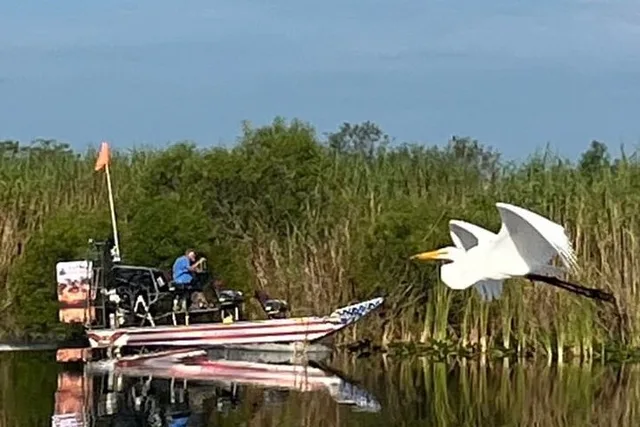 Everglades Airboat Adventure 90 Min - Image 6