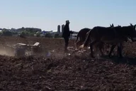 Lancaster Amish Farmlands Guided Tour thumbnail 3