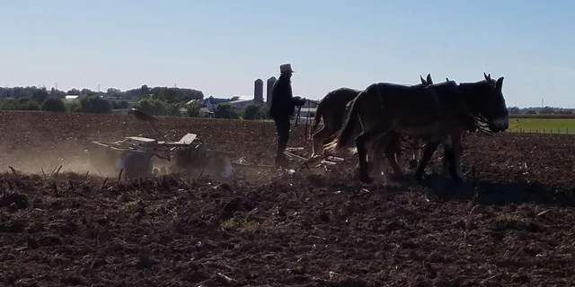 Lancaster Amish Farmlands Guided Tour - Image 3