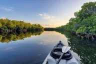Florida Keys Kayak Tour in Mangrove Forests 3 hr thumbnail 1