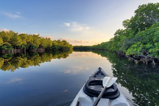 Florida Keys Kayak Tour in Mangrove Forests 3 hr - Image 1