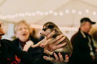 Fairbanks Beer and Puppies Experience thumbnail 5