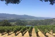 San Francisco Napa Valley Private Wine Tour 8 hr thumbnail 2
