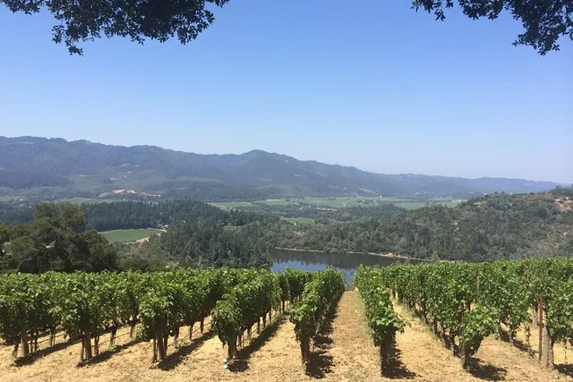 San Francisco Napa Valley Private Wine Tour 8 hr - Image 2