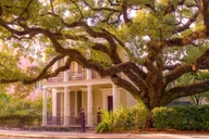 New Orleans Garden District Tour thumbnail 1