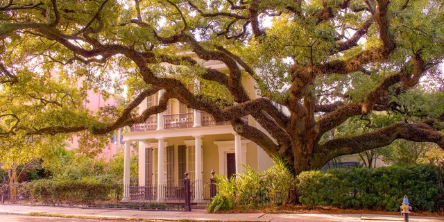 New Orleans Garden District Tour - Image 1