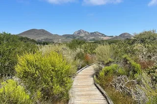 Morro Bay Nature Tour with Tasting 90 min