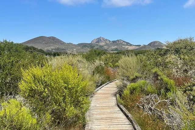 Morro Bay Nature Tour with Tasting 90 min - Image 1