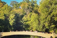 New York Central Park Movie & Celebrity Pedicab Tour 1.5 hr thumbnail 3