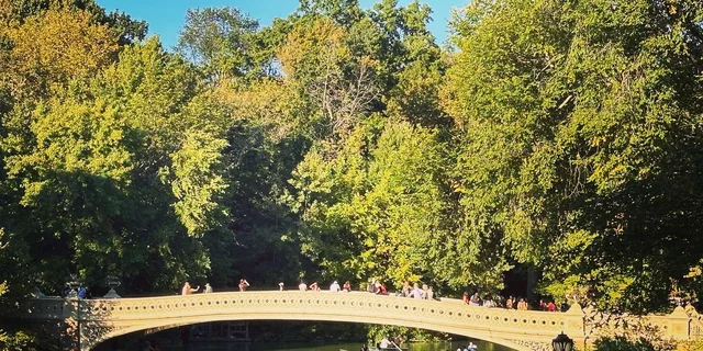 New York Central Park Movie & Celebrity Pedicab Tour 1.5 hr - Image 3