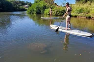 Haleiwa Stand Up Paddle Turtle Tour 90 Min thumbnail 5
