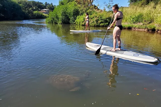 Haleiwa Stand Up Paddle Turtle Tour 90 Min - Image 5