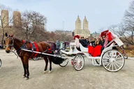 New York Central Park Carriage Ride 45 Min thumbnail 1