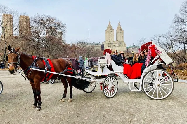 New York Central Park Carriage Ride 45 Min - Image 1
