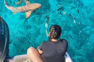 Key Largo Multi-Activity Private Charter Boat