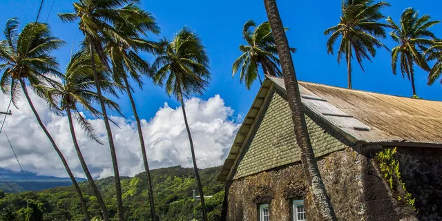 Maui Road to Hāna Sightseeing Tour - Image 6