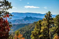 Denver Peak-to-Peak Fall Color Tour thumbnail 4