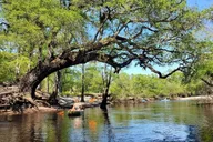 Myrtle Beach Treehouse Adventure thumbnail 5