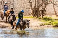 Sedona Horseback Tour with River Crossing 2 hr thumbnail 2