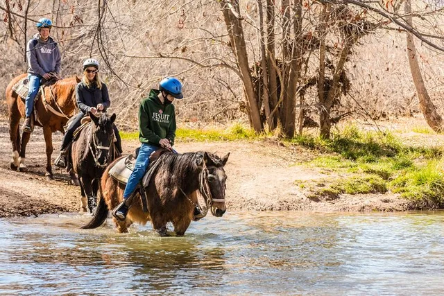 Sedona Horseback Tour with River Crossing 2 hr - Image 2