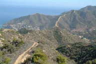 Catalina Island Adventure Tour 2 hr thumbnail 5