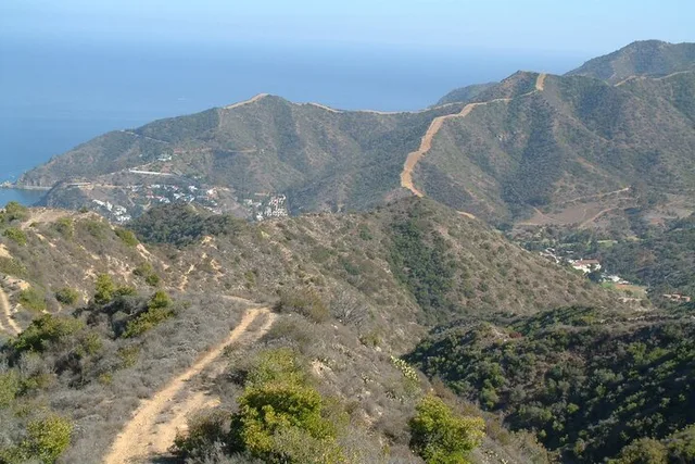 Catalina Island Adventure Tour 2 hr - Image 5