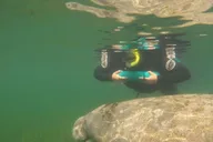 Orlando Manatee Snorkeling Tour with Lunch thumbnail 3