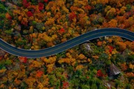 Atlanta Amicalola Falls and Blue Ridge Tour thumbnail 2