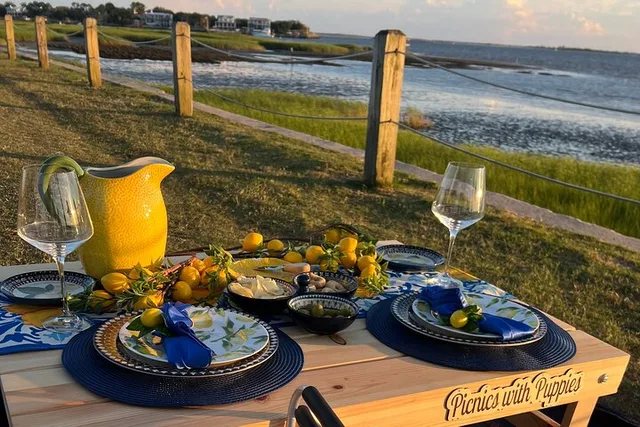 Charleston Themed Picnic Experience 2 hr - Image 5