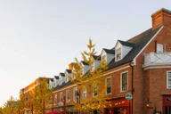 Williamsburg Colonial History Walking Tour thumbnail 1