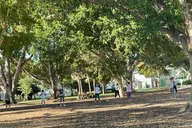 Naples Taichi & Qigong Class thumbnail 3