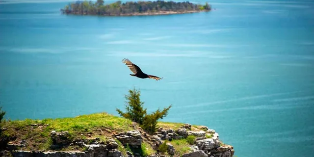 Branson 4x4 Tour: Downtown, Lake & Baird Mountain - Image 5