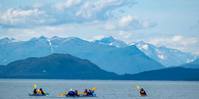 Juneau Paddle with Whales Kayak Adventure - Image 5