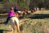 Memphis Horseback Trail Ride 1 hr thumbnail 3