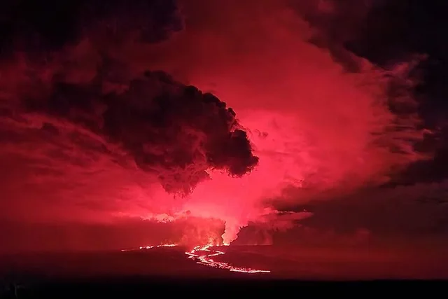 Hilo Volcanoes, Waterfalls, and Beaches Tour - Image 2