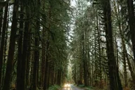 Seattle Twilight Forks Tour 9 hr thumbnail 3