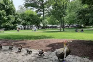 Boston Walking and Driving Tour thumbnail 1